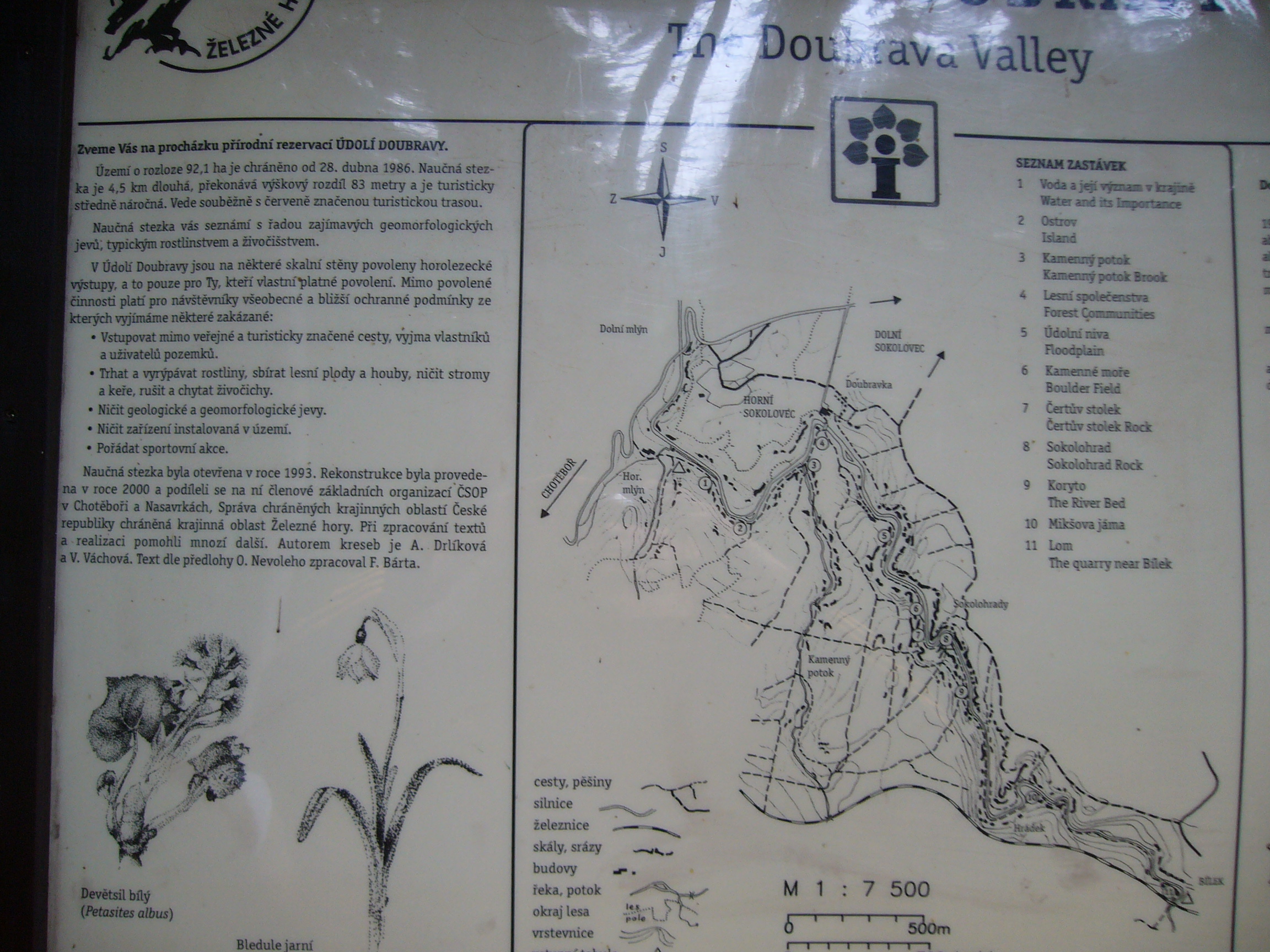 P1000734.JPG
